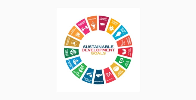 Logo - Sustainable Development Goals